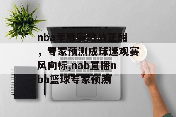 nba季后赛激战正酣，专家预测成球迷观赛风向标,nab直播nba篮球专家预测