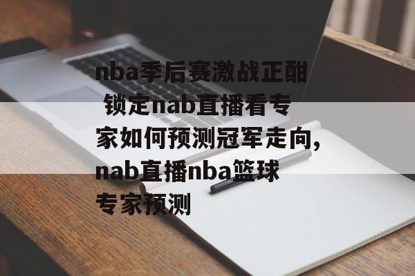 nba季后赛激战正酣 锁定nab直播看专家如何预测冠军走向,nab直播nba篮球专家预测