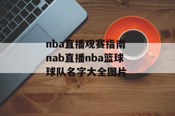 nba直播观赛指南 nab直播nba篮球球队名字大全图片