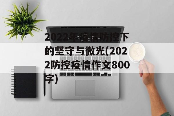 2022年疫情防控下的坚守与微光(2022防控疫情作文800字)