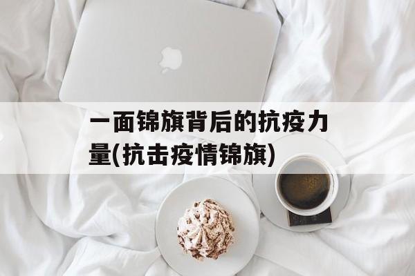 一面锦旗背后的抗疫力量(抗击疫情锦旗)