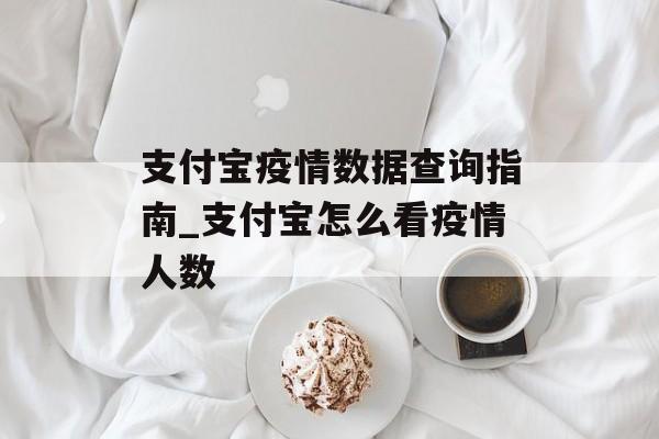支付宝疫情数据查询指南_支付宝怎么看疫情人数