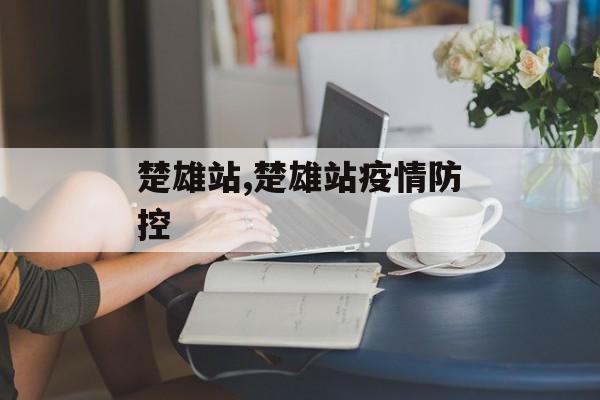 楚雄站,楚雄站疫情防控