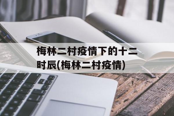 梅林二村疫情下的十二时辰(梅林二村疫情)